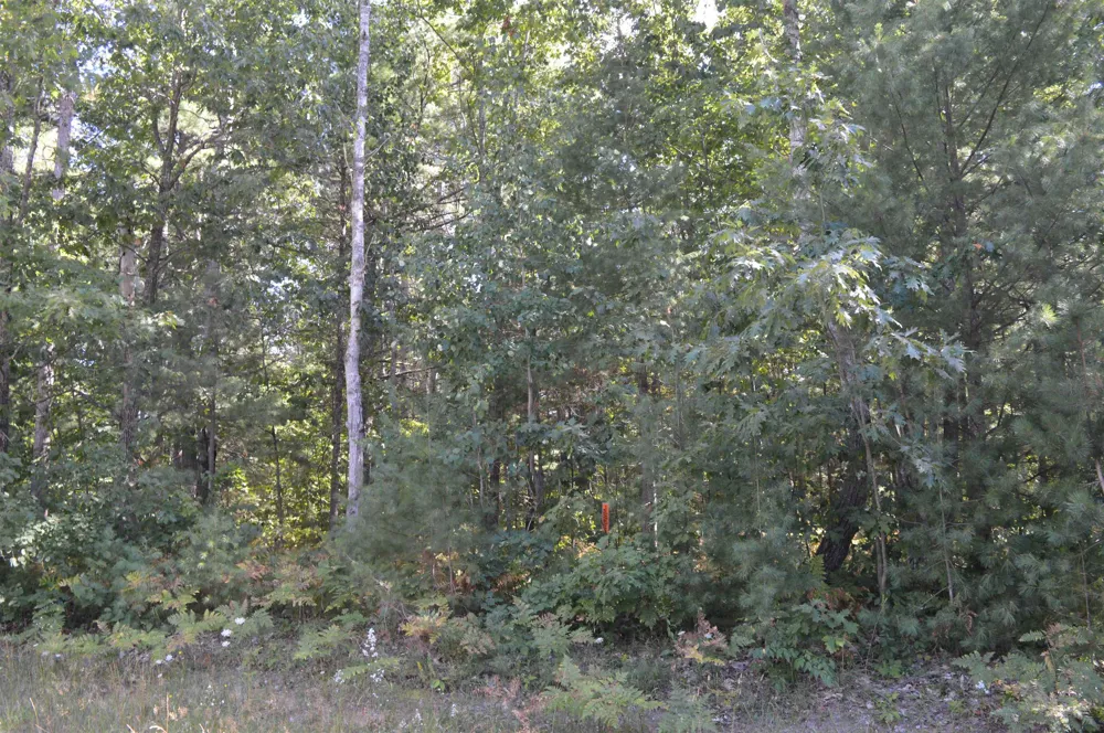 2191 Driftwood Lane Kalkaska Township, MI 49646