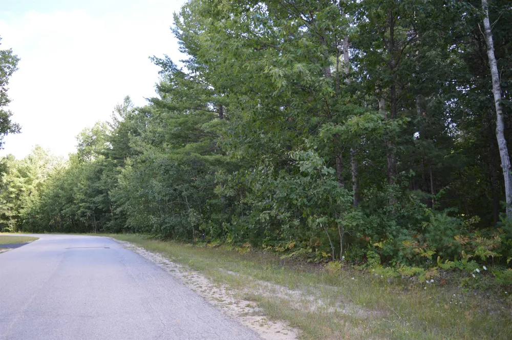 2200 Driftwood Lane Kalkaska Township, MI 49646