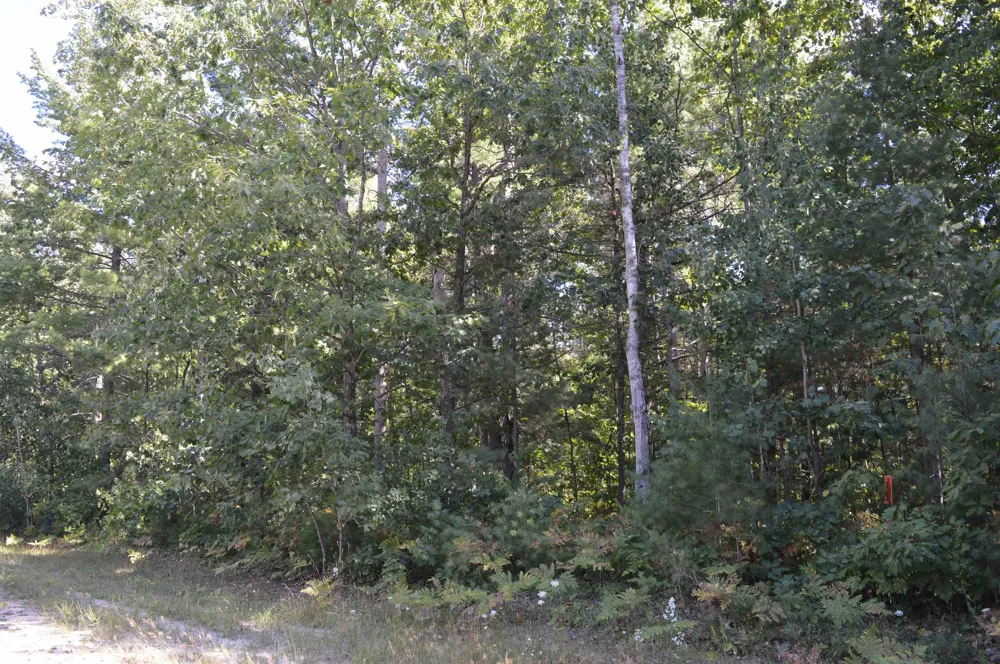 2200 Driftwood Lane Kalkaska Township, MI 49646