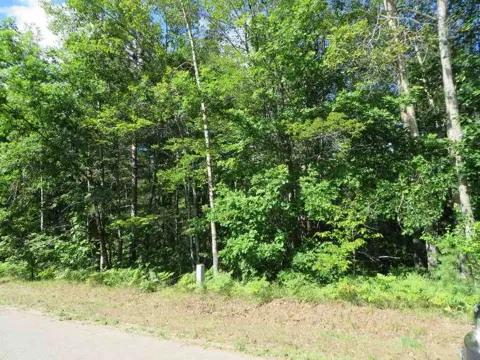 2089 E Log Lake Road