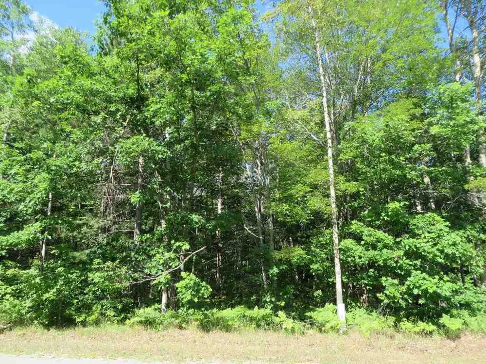 2089 E Log Lake Road Kalkaska Township, MI 49646