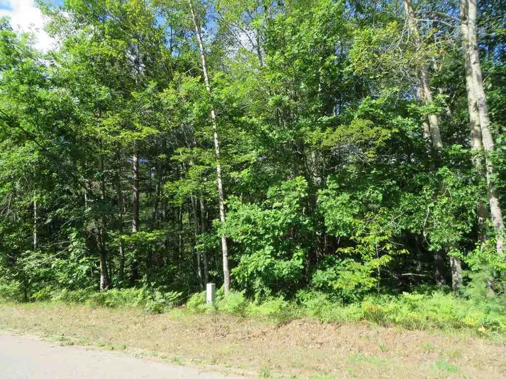 2089 E Log Lake Road Kalkaska Township, MI 49646