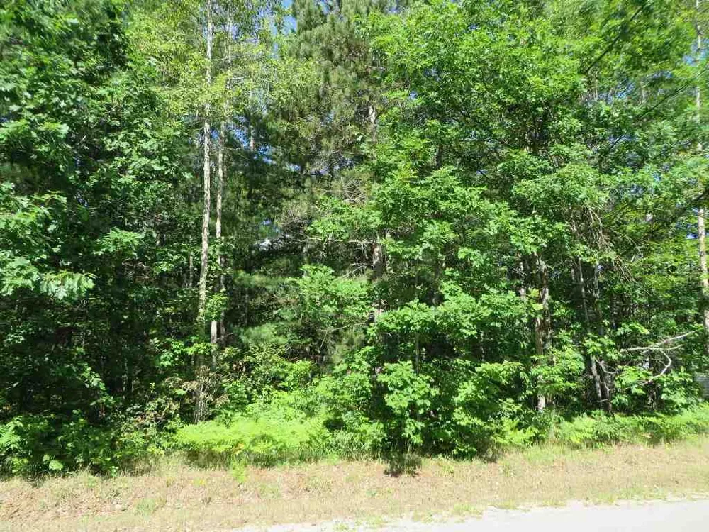 2089 E Log Lake Road Kalkaska Township, MI 49646