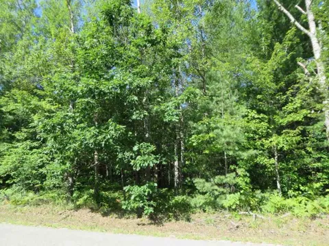 2065 E Log Lake Road