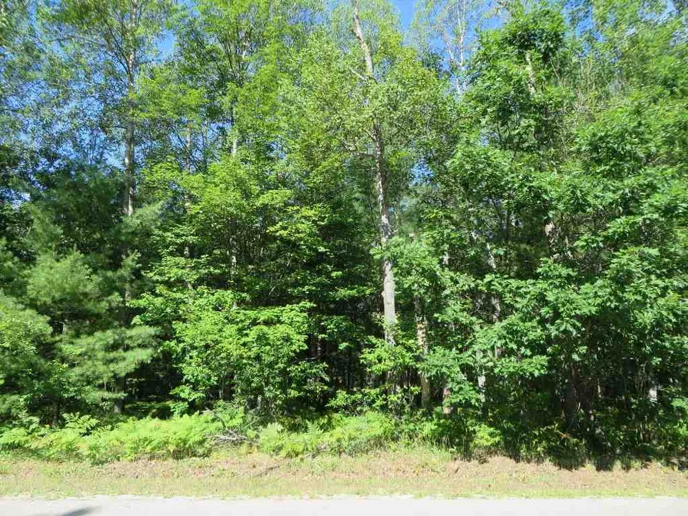 2065 E Log Lake Road Kalkaska Township, MI 49646