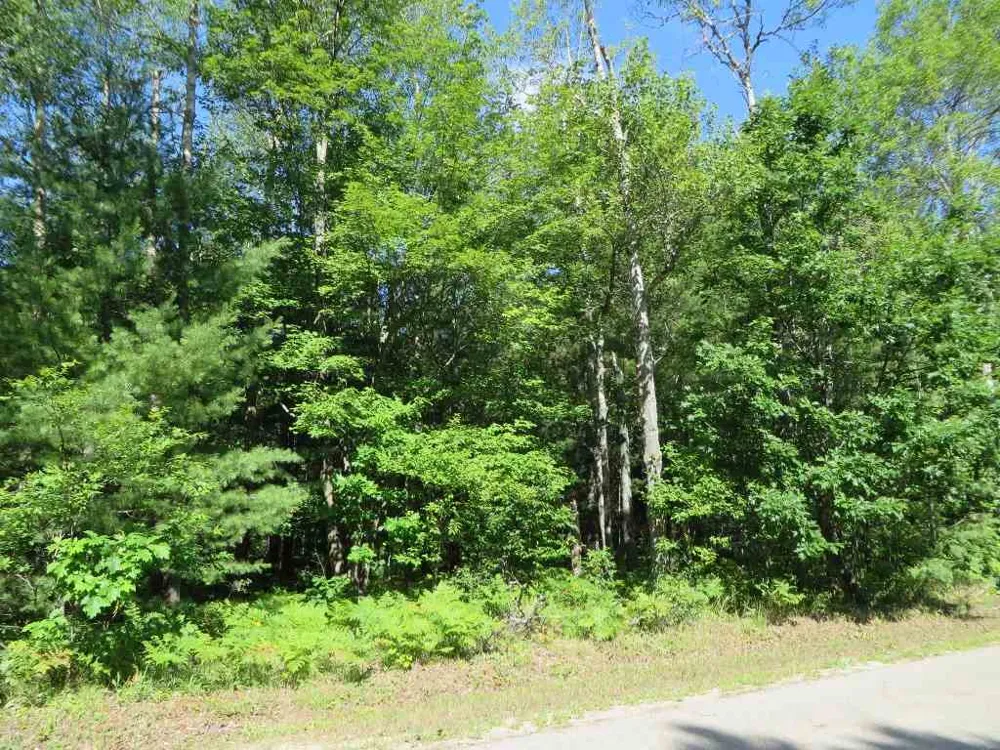 2065 E Log Lake Road Kalkaska Township, MI 49646