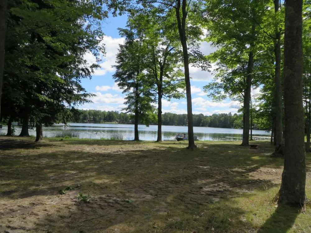 2065 E Log Lake Road Kalkaska Township, MI 49646
