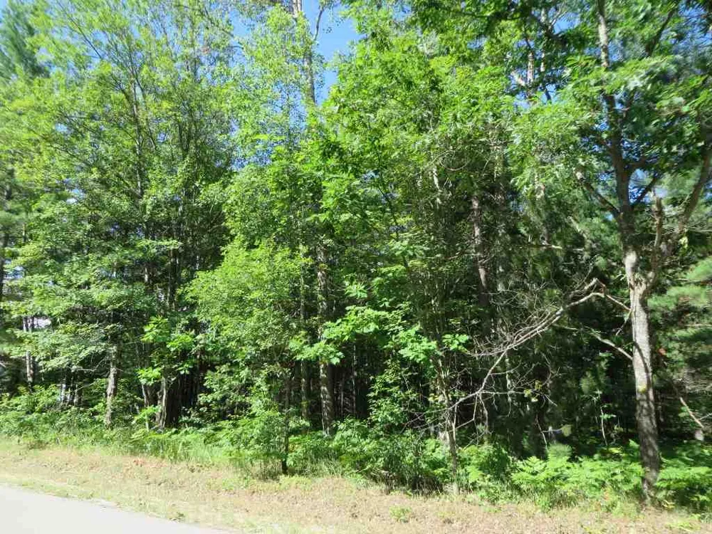 2043 E Log Lake Road Kalkaska Township, MI 49646