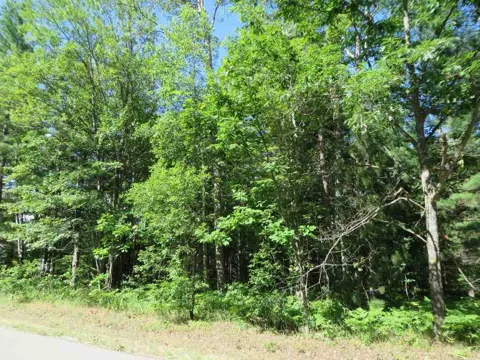 2043 E Log Lake Road