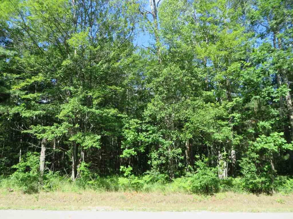 2043 E Log Lake Road Kalkaska Township, MI 49646