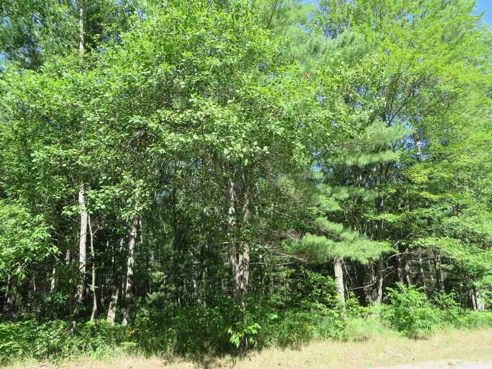 2043 E Log Lake Road Kalkaska Township, MI 49646