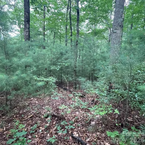 0 Mulberry Divide