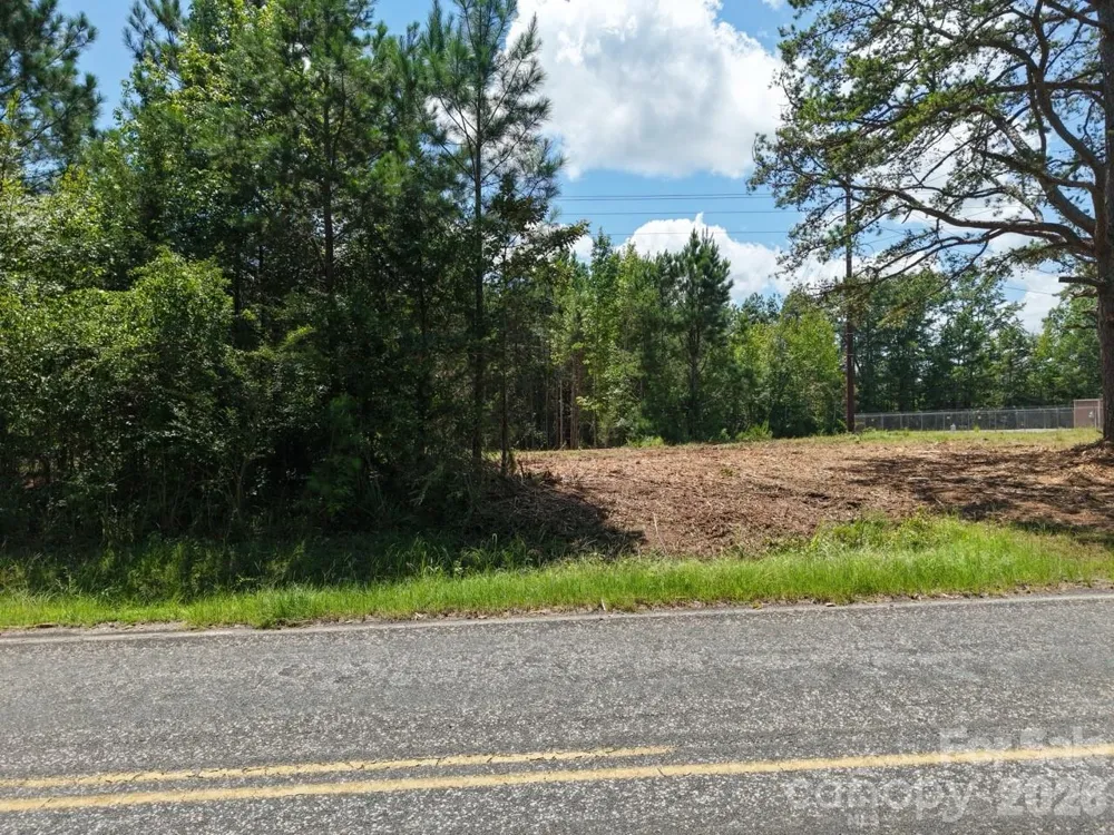 0 Cassels Road Chester, SC 29706