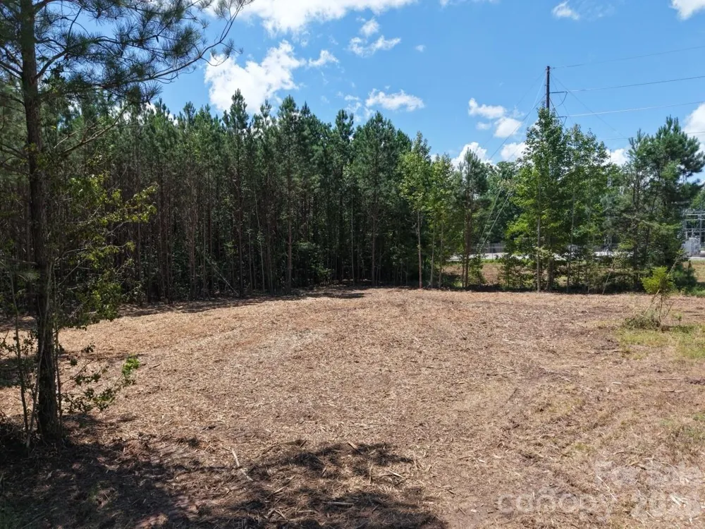 0 Cassels Road Chester, SC 29706