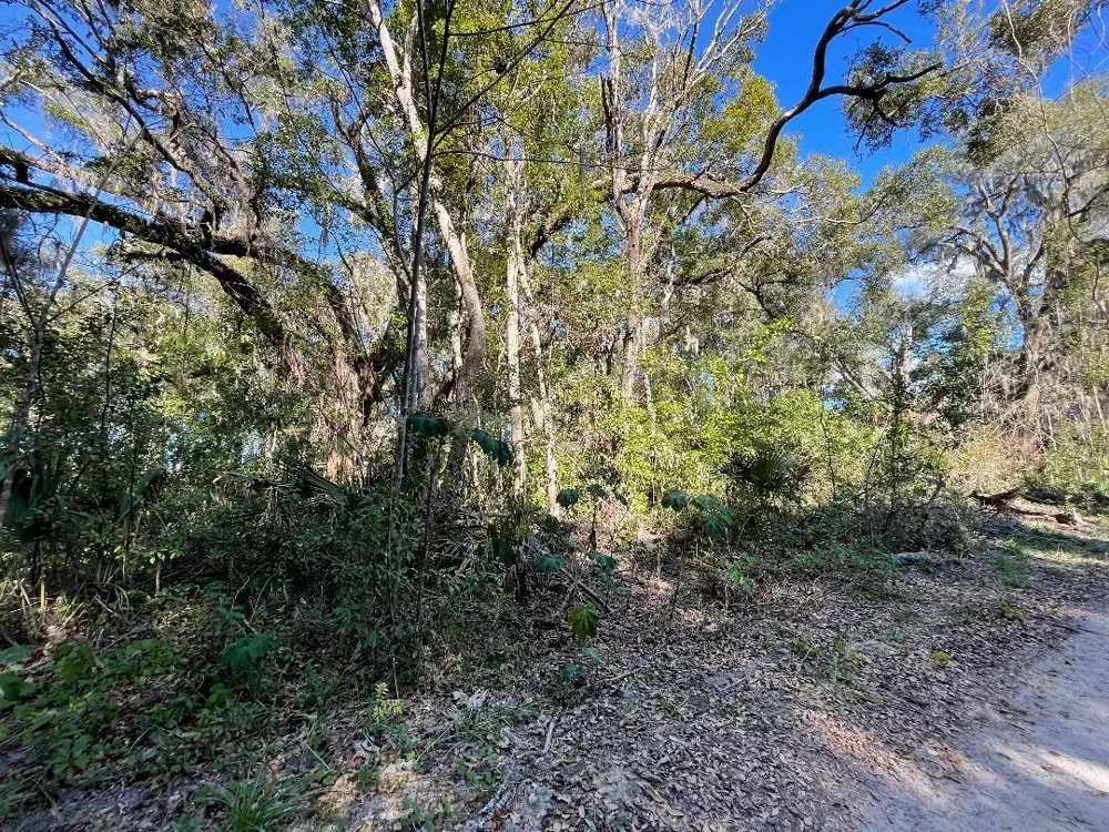 13581 119TH PL Ocklawaha, FL 32179