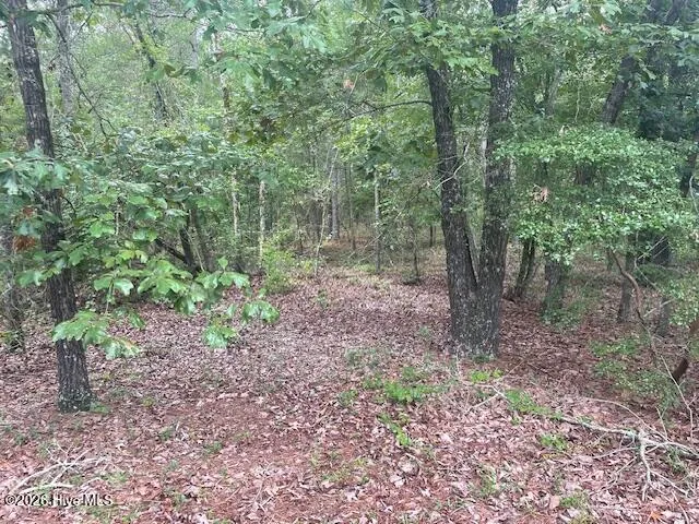 300 Gardenia Lane White Oak, NC 28399