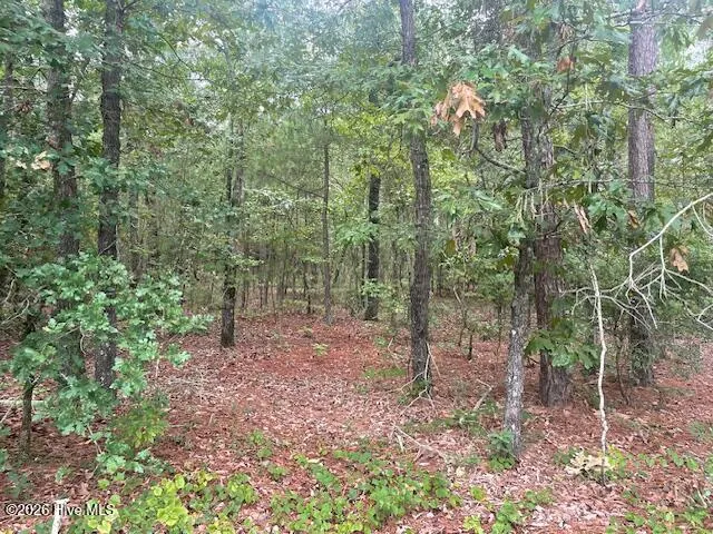 300 Gardenia Lane White Oak, NC 28399