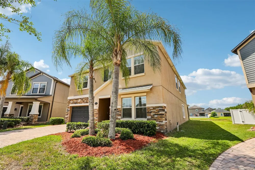19417 PADDOCK VIEW DRIVE Tampa, FL 33647