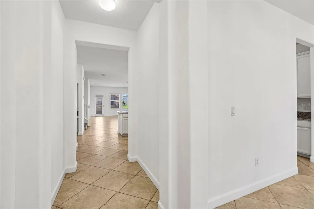 19417 PADDOCK VIEW DRIVE Tampa, FL 33647