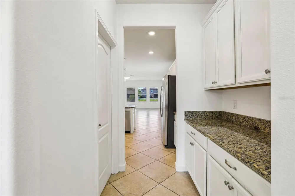 19417 PADDOCK VIEW DRIVE Tampa, FL 33647