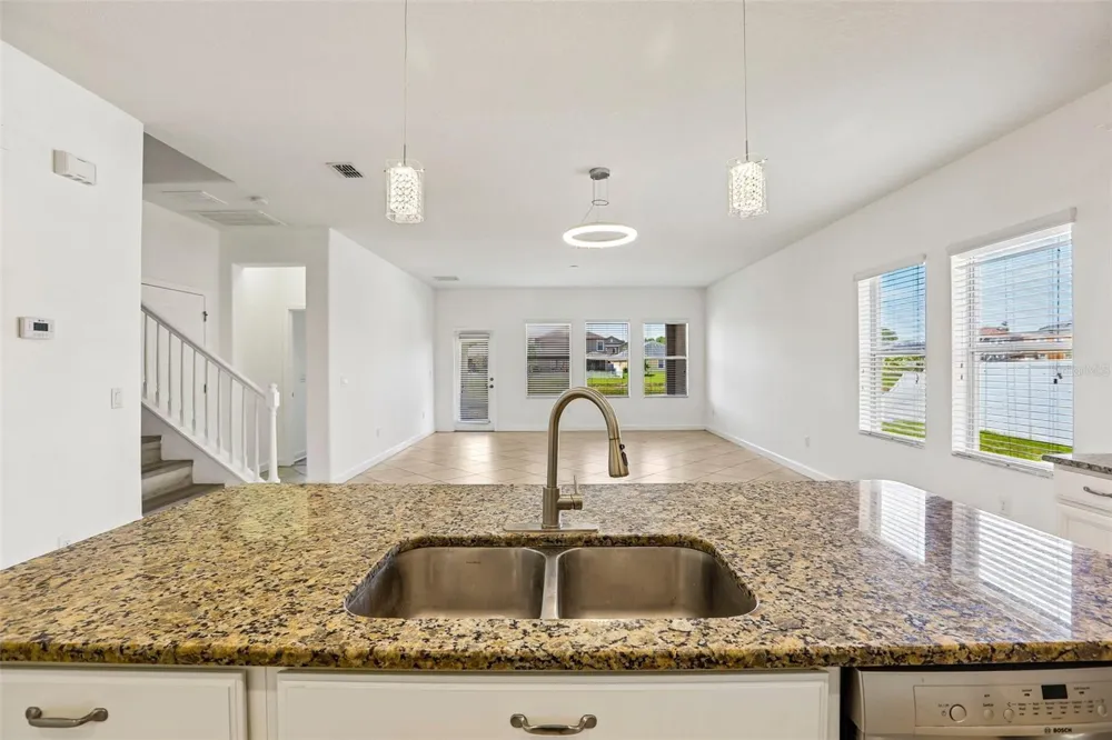 19417 PADDOCK VIEW DRIVE Tampa, FL 33647