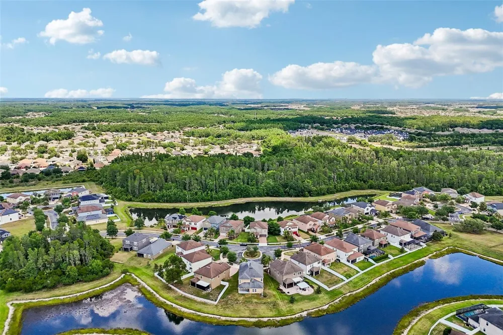 19417 PADDOCK VIEW DRIVE Tampa, FL 33647