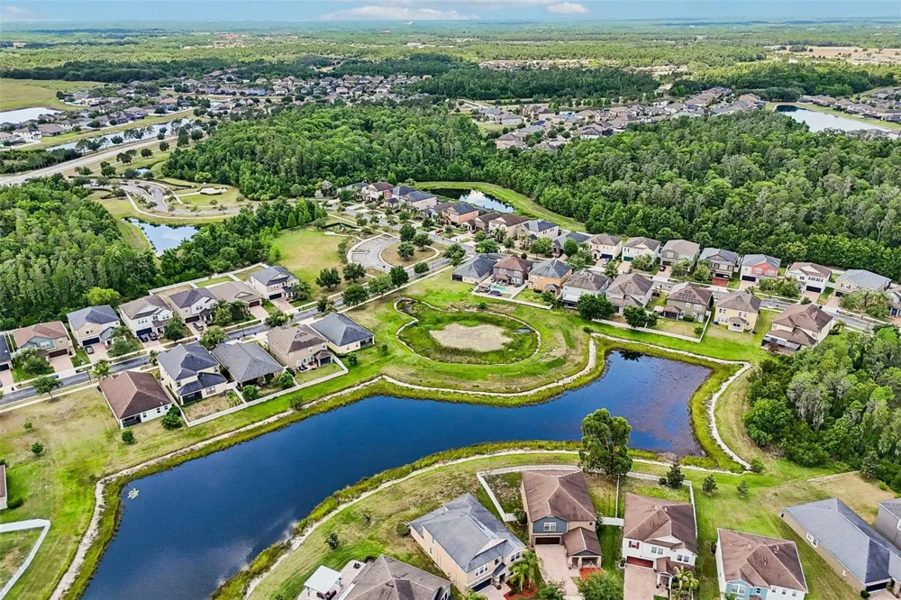 19417 PADDOCK VIEW DRIVE Tampa, FL 33647