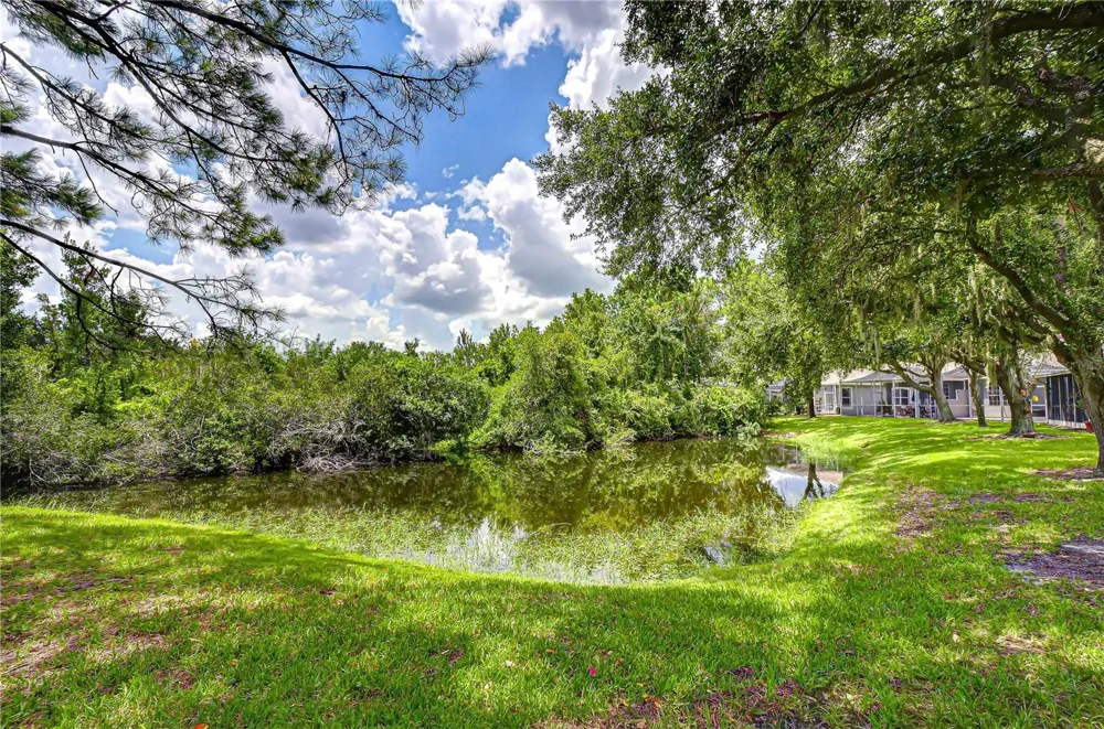 6026 SANDHILL RIDGE DRIVE Lithia, FL 33547