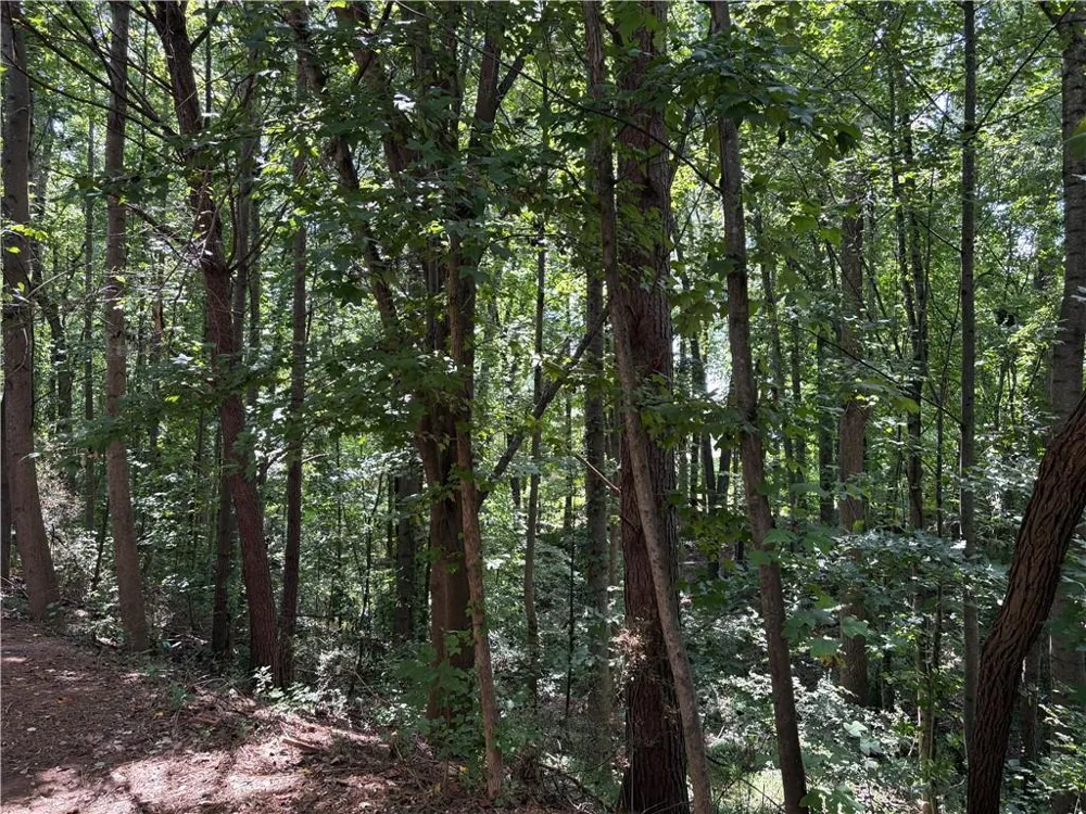 4601 Logan Way Acworth, GA 30101