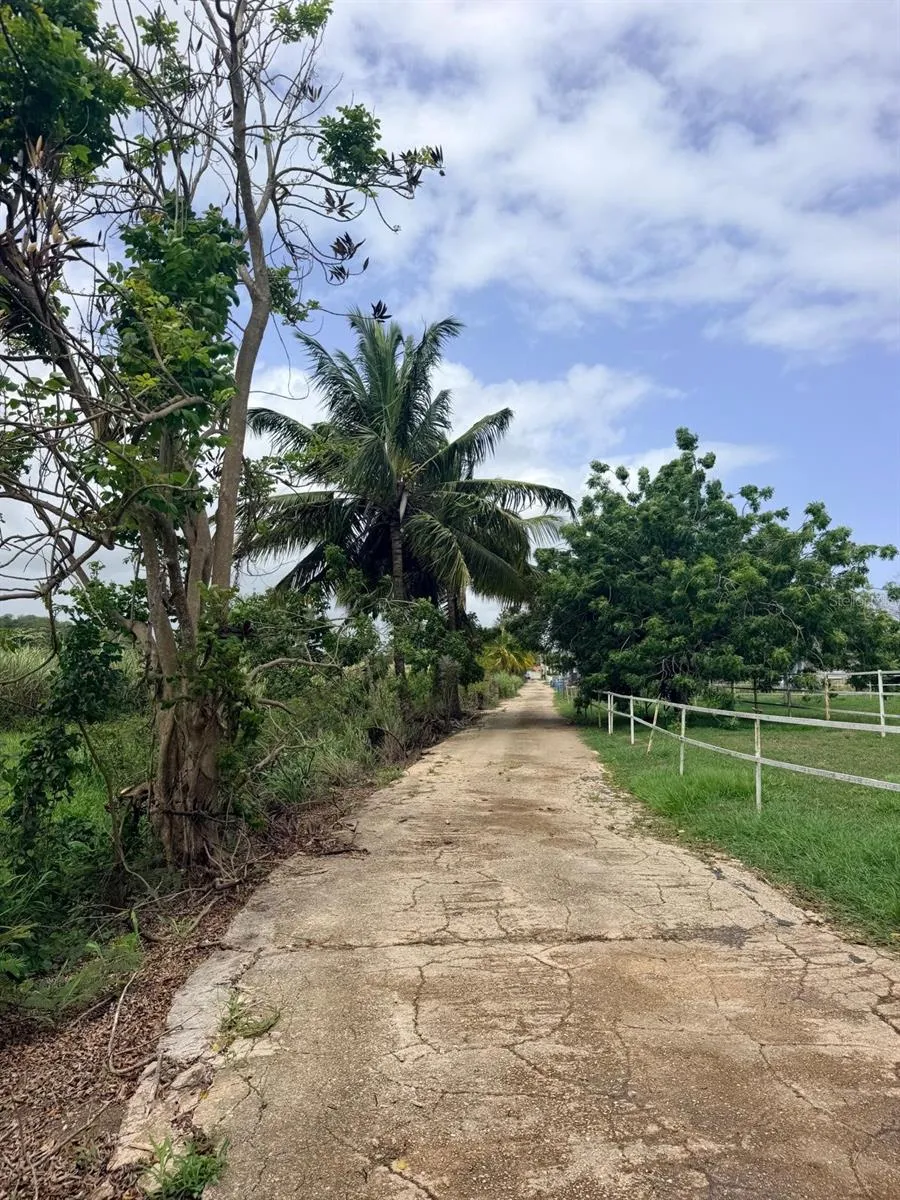 CARR 690 KM 3.2 BO SABANA HOYOS Vega Alta, PR 00692