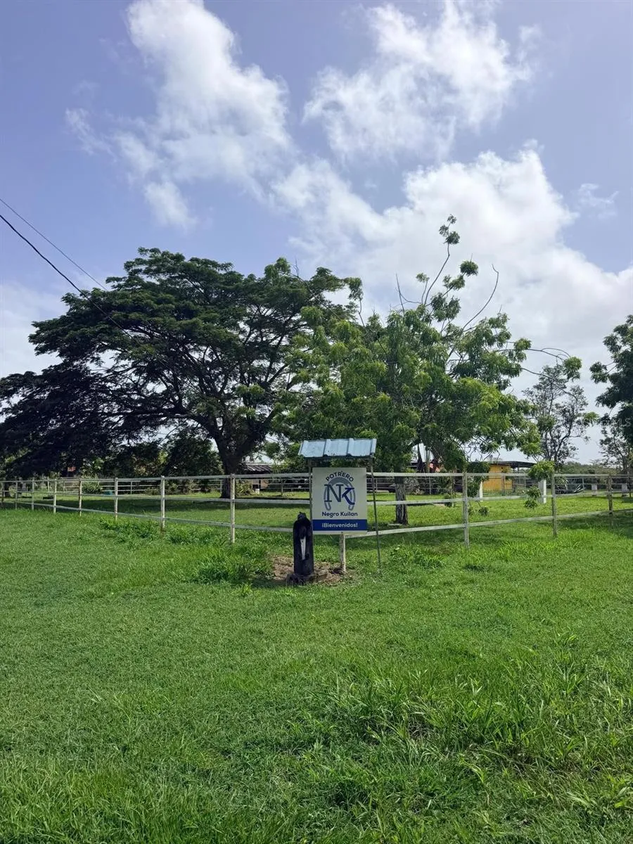 CARR 690 KM 3.2 BO SABANA HOYOS Vega Alta, PR 00692