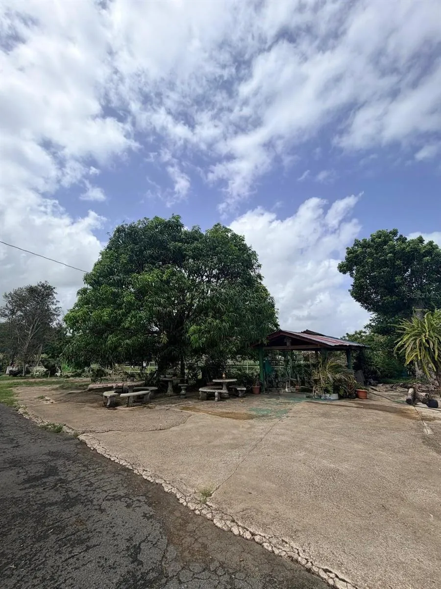 CARR 690 KM 3.2 BO SABANA HOYOS Vega Alta, PR 00692