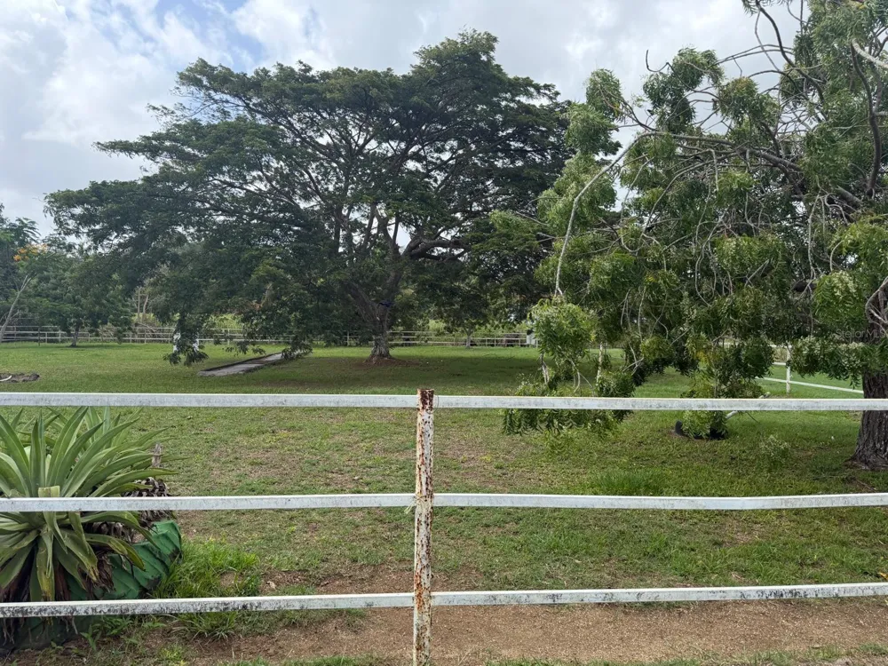 CARR 690 KM 3.2 BO SABANA HOYOS Vega Alta, PR 00692