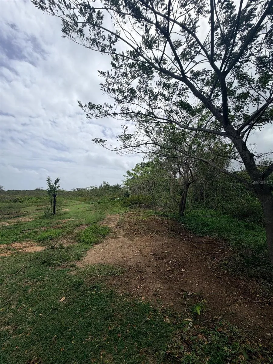 CARR 690 KM 3.2 BO SABANA HOYOS Vega Alta, PR 00692