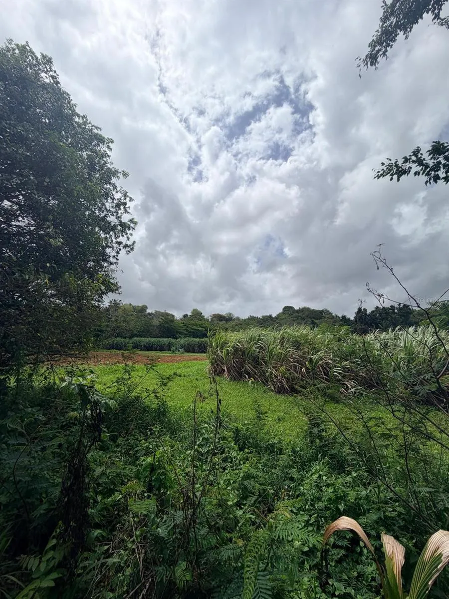 CARR 690 KM 3.2 BO SABANA HOYOS Vega Alta, PR 00692