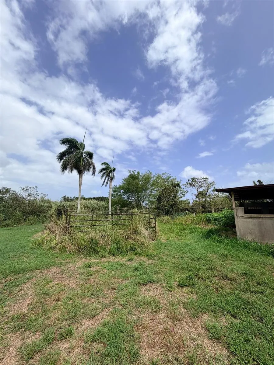 CARR 690 KM 3.2 BO SABANA HOYOS Vega Alta, PR 00692