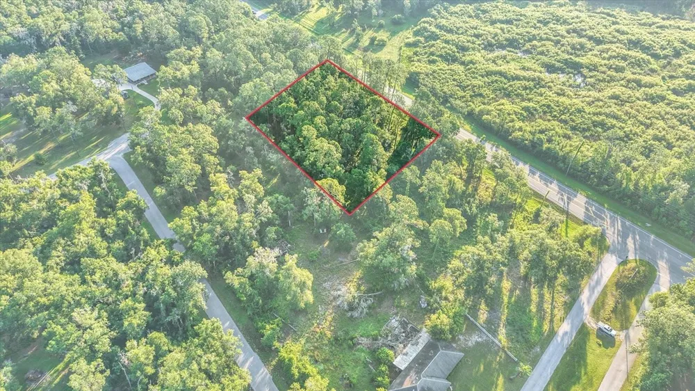 0 TREIMAN BOULEVARD Webster, FL 33597