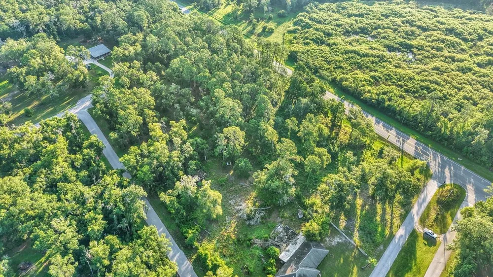 0 TREIMAN BOULEVARD Webster, FL 33597