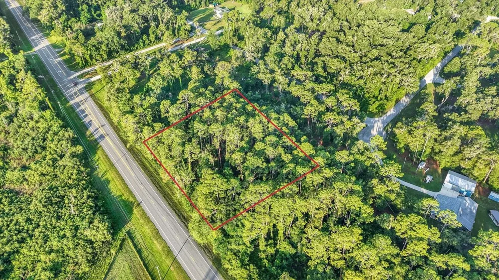 0 TREIMAN BOULEVARD Webster, FL 33597