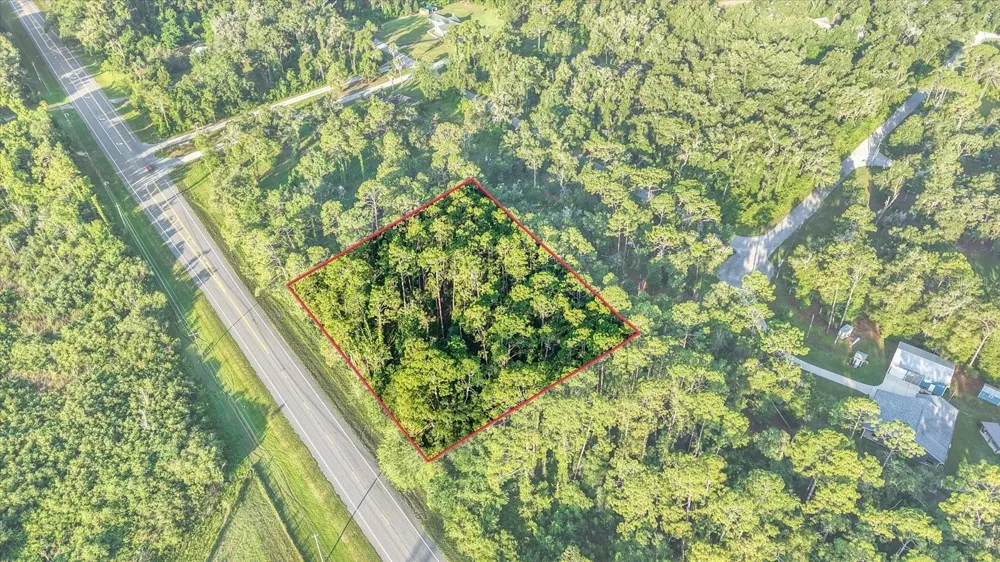 0 TREIMAN BOULEVARD Webster, FL 33597