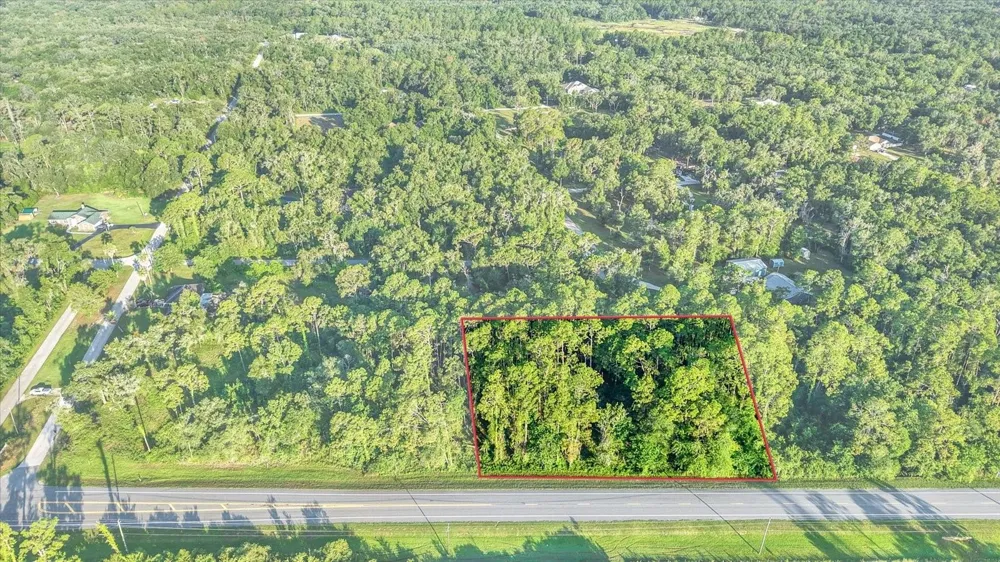 0 TREIMAN BOULEVARD Webster, FL 33597