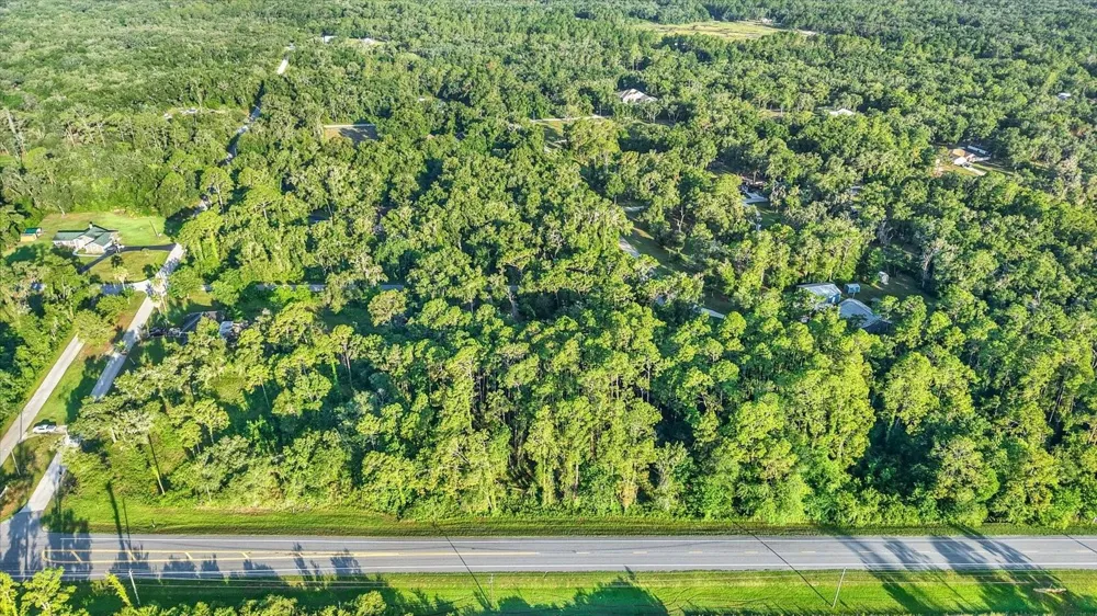 0 TREIMAN BOULEVARD Webster, FL 33597