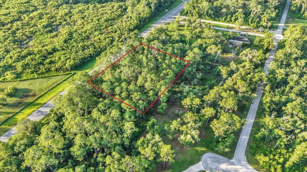 0 TREIMAN BOULEVARD Webster, FL 33597