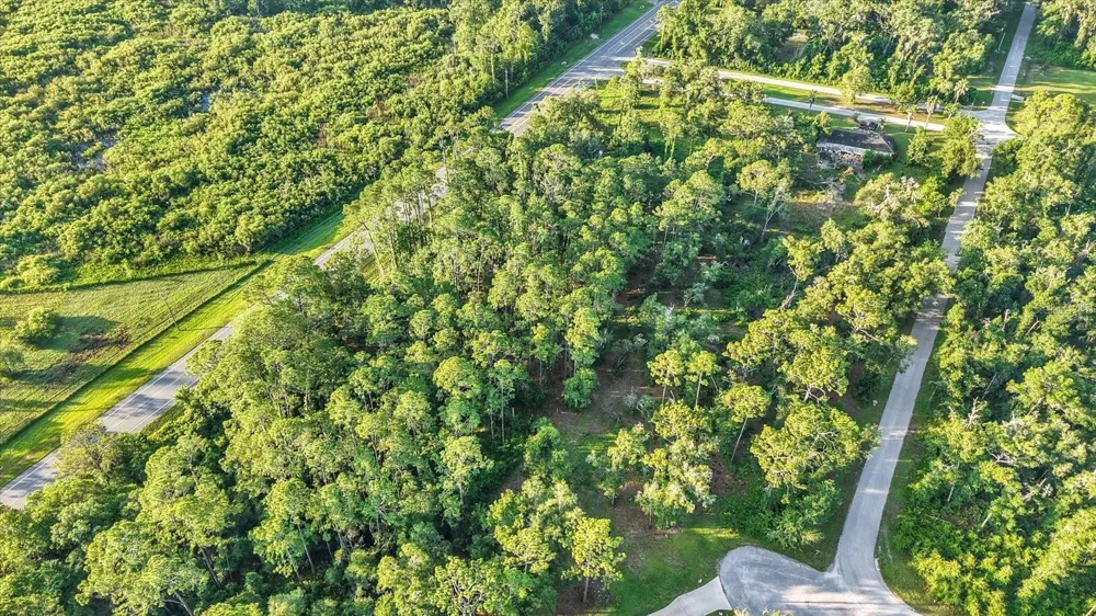 0 TREIMAN BOULEVARD Webster, FL 33597