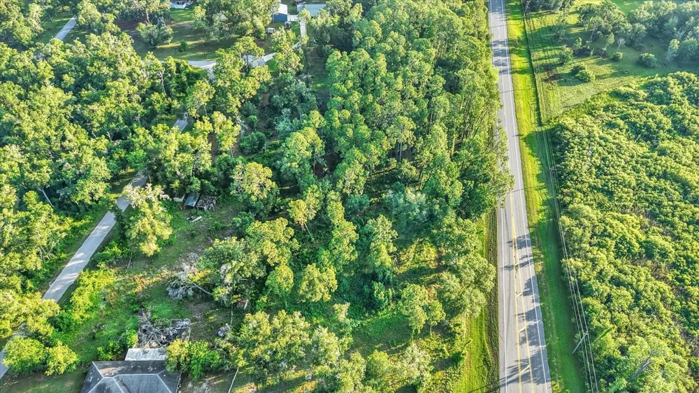 0 TREIMAN BOULEVARD Webster, FL 33597