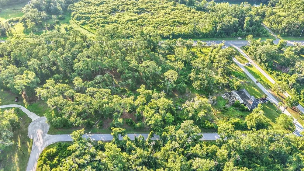 0 TREIMAN BOULEVARD Webster, FL 33597