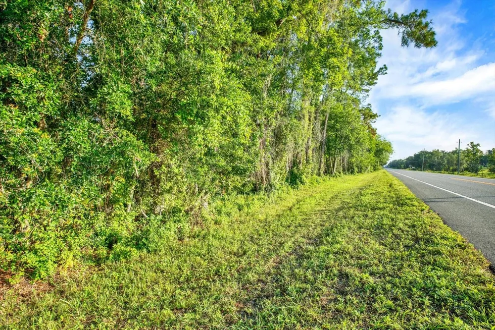 0 TREIMAN BOULEVARD Webster, FL 33597