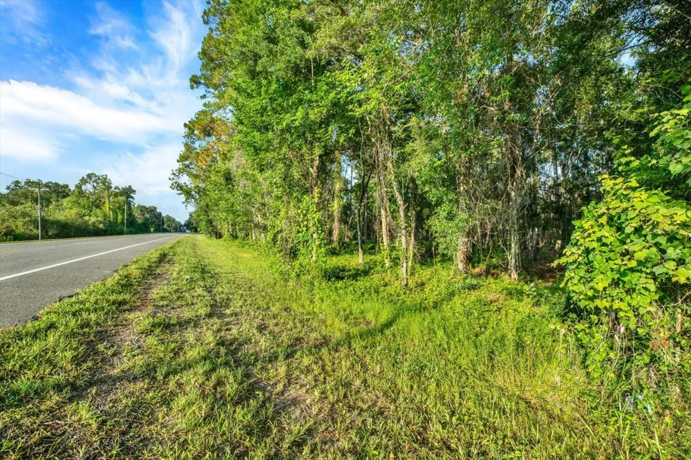 0 TREIMAN BOULEVARD Webster, FL 33597