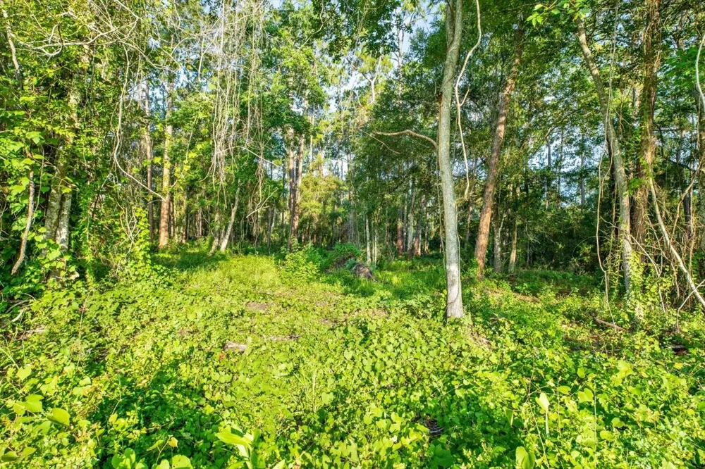0 TREIMAN BOULEVARD Webster, FL 33597