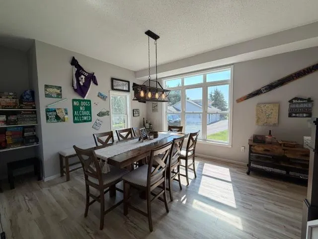 45207 Lamplight Drive Ottertail, MN 56571